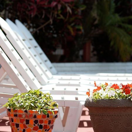 Beach And Town Motel Hollywood Extérieur photo